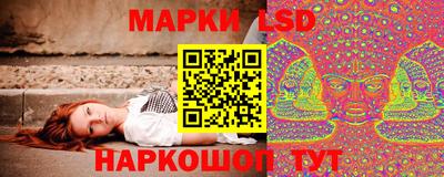эйфоретик Славгород