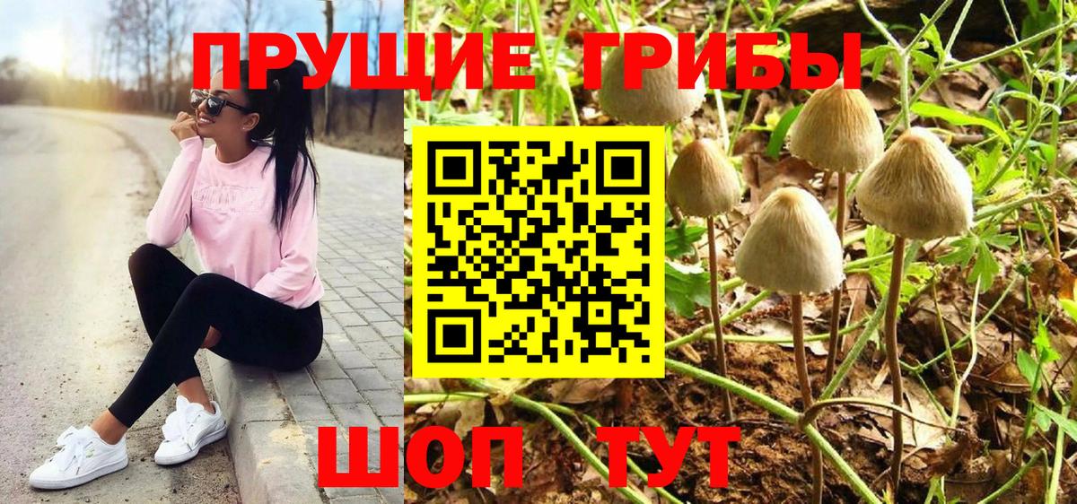 Галлюциногенные грибы мицелий  Вход с VPN  Псилоцибиновые грибы мухоморы  Семёнов 